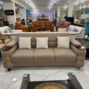 Trending Sofa
